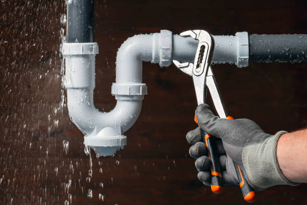 Professional Leak Detection technician working in Langley, WA